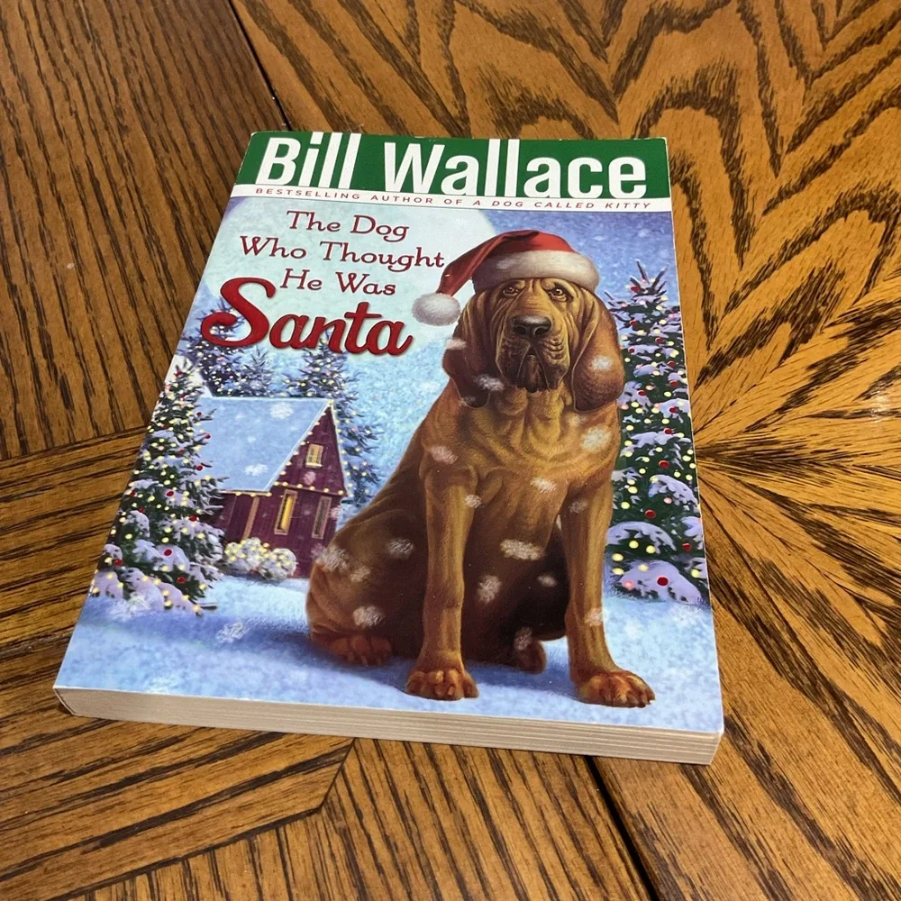 Christmas books:Bunnicula, Santa Dog, Teeny Witch, Carols, Black Lagoon, Mystery